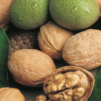 Noci con guscio naturale 500gr