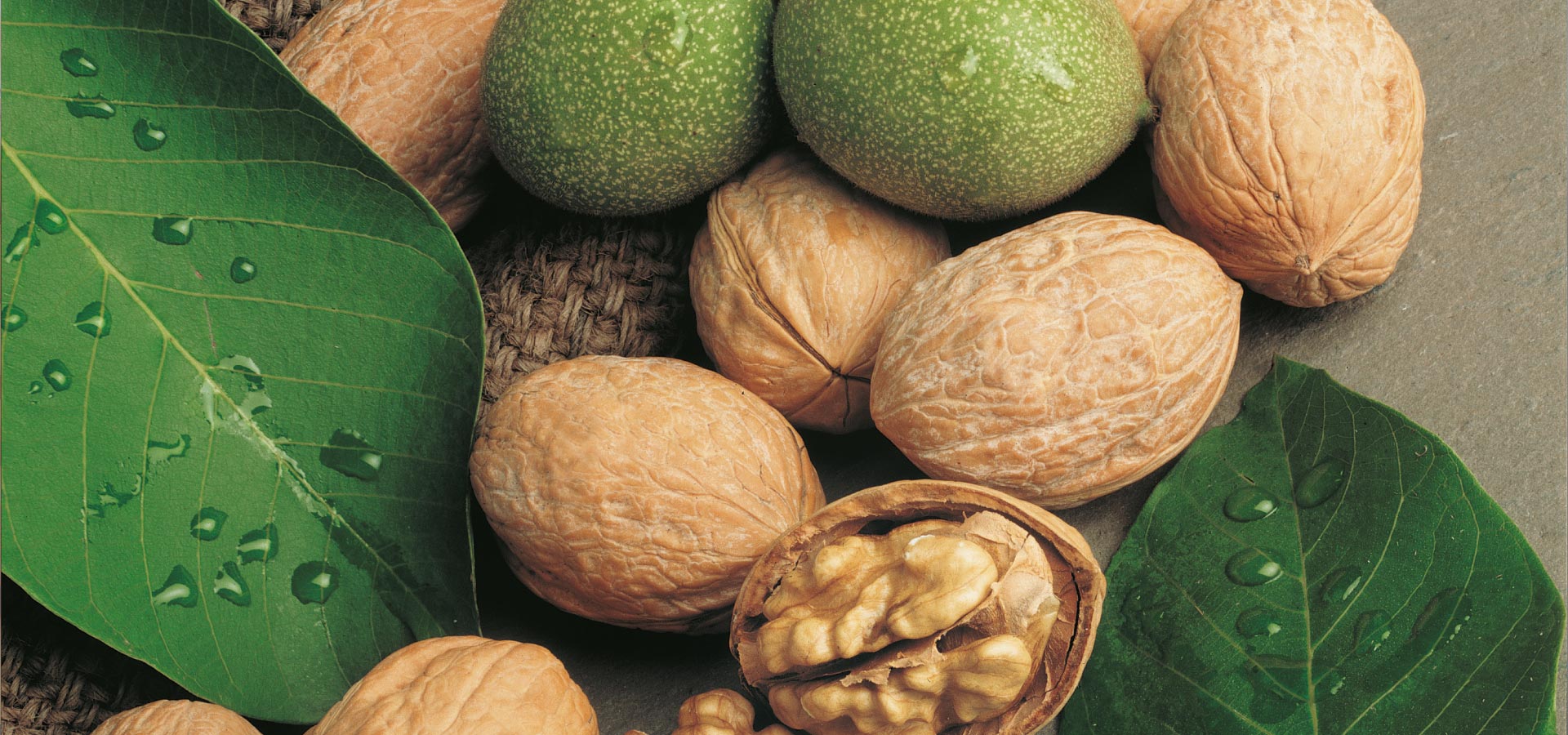 Noci con guscio naturale 500gr